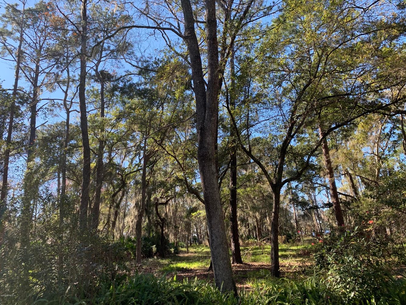 901 Creighton Rd, Orange Park, FL 32003